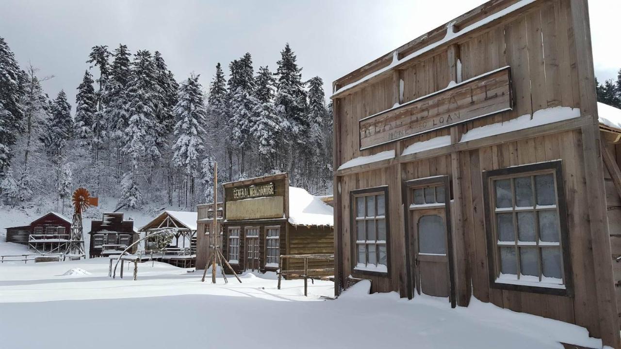 Specious Apartment Manitu In Forest Countryside 弗济内 外观 照片